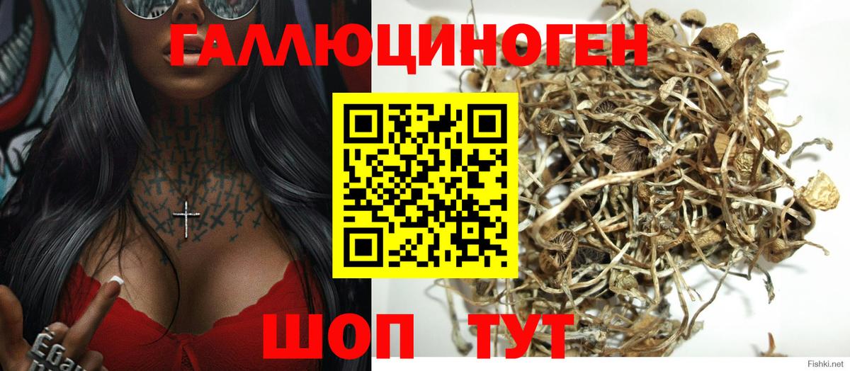 Псилоцибиновые грибы Magic Shrooms Ярославль