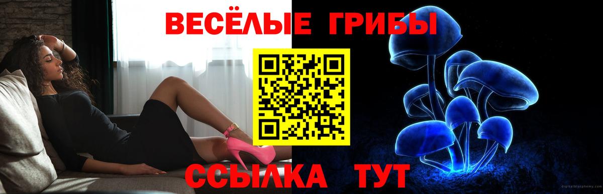 Галлюциногенные грибы MAGIC MUSHROOMS  Вход с VPN  Ярославль  Галлюциногенные грибы мухоморы 
